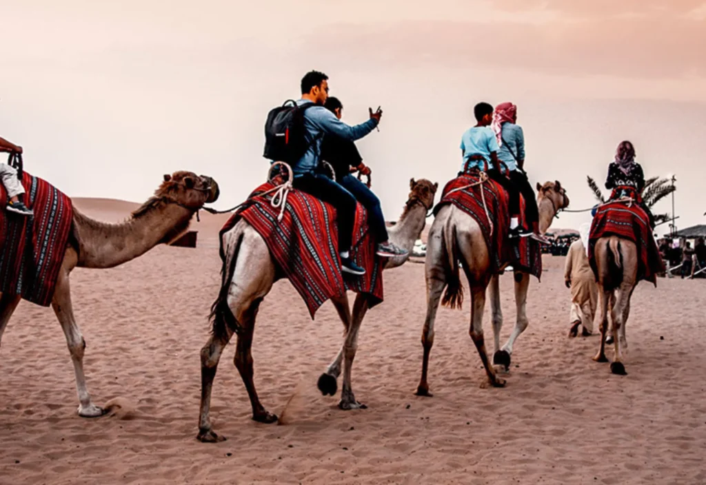 camel ride in dubai - Desert cresent