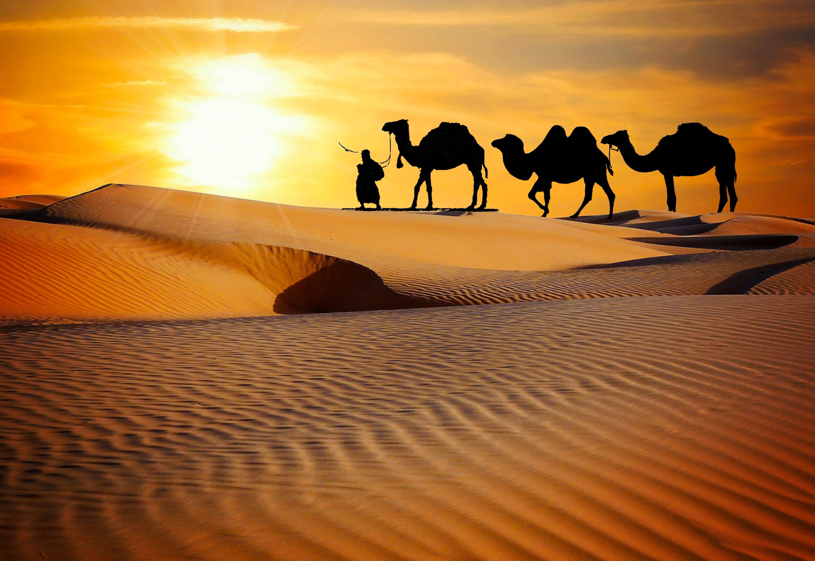 Evening Desert Safari al badayer - Descrent Crescent