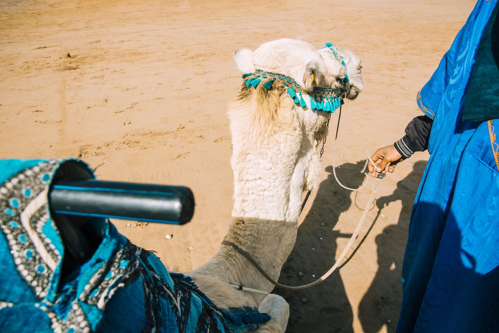 Scenic view of Dubai Desert Conservation Reserves with sand dunes and wildlife