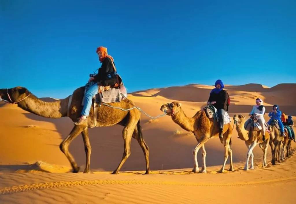 Premium Desert Safari Dubai with luxury 4x4, dune bashing, camel rides, BBQ dinner, and live shows