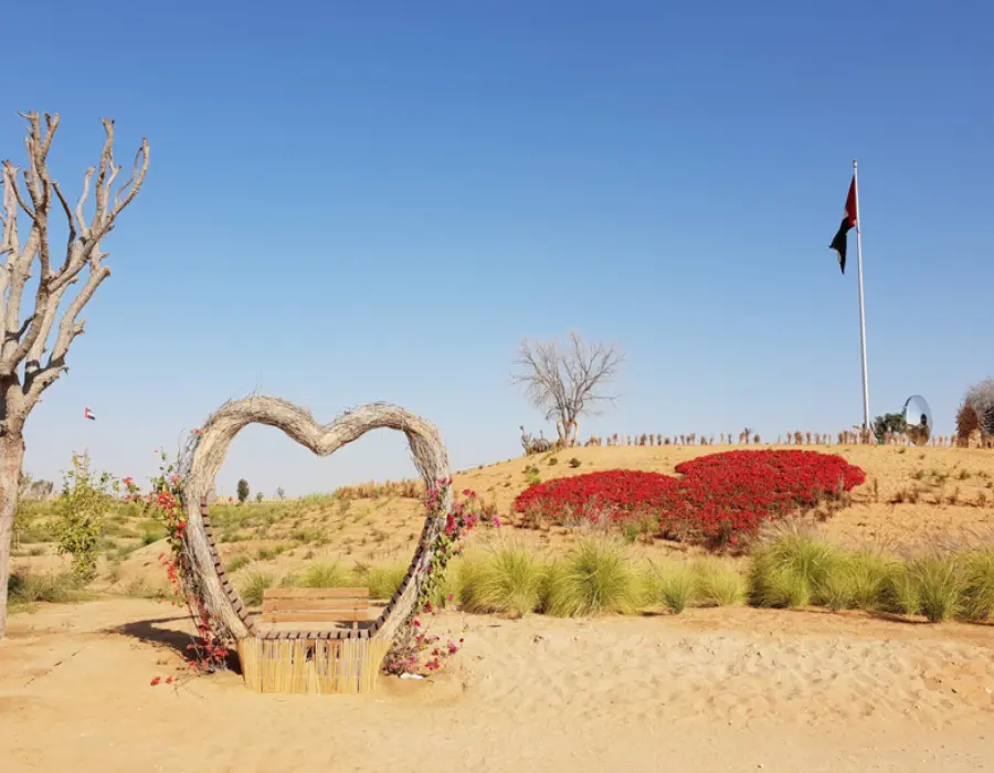A breathtaking view of Al Qudra Desert with golden sand dunes, perfect for desert safari adventures in Dubai - Desert Crescent