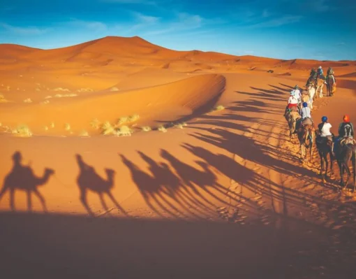 Desert Safari Self Drive Dubai with 4x4 dune bashing and private camp activities