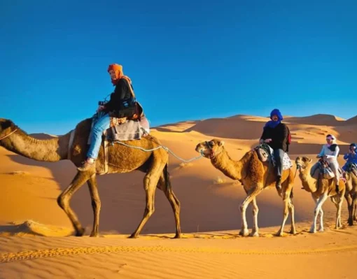 Premium Desert Safari in Dubai Premium Desert Safari in Dubai